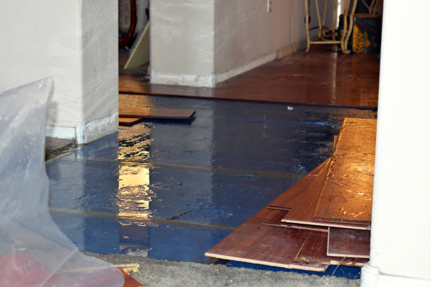 Professional Water Damage Restoration technician working in Chickasaw, OH